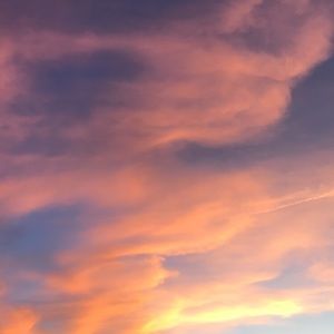 Meet your Posher, Nolan